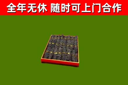 静乐县回收海参